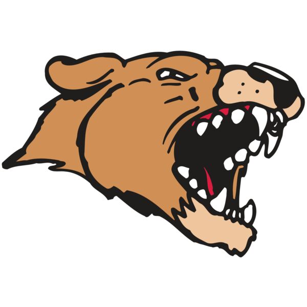 AR5 COUGAR 33 RQC Thumbnail